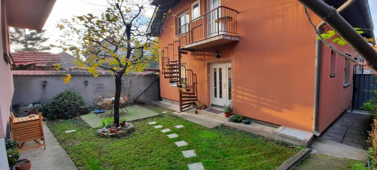 Apartman Carpe Diem 2 Заечар Экстерьер фото